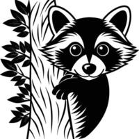Raccoons silhouette black white illustration vector