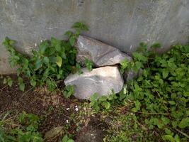 Several piles of building materials among the wild grass photo