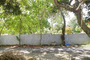 The trees are lush and green during the day. Between the wall fences photo