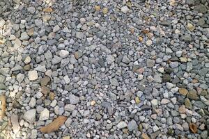 hundreds of small, brightly colored pebbles in a garden photo