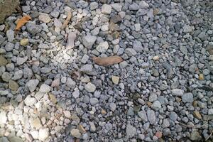 hundreds of small, brightly colored pebbles in a garden photo