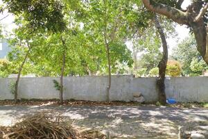 The trees are lush and green during the day. Between the wall fences photo