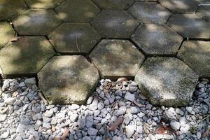 outdoor concrete paving floor with a hexagon shape, filled with moss, with a little gravel beside it photo