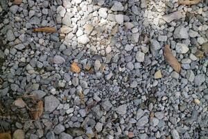 hundreds of small, brightly colored pebbles in a garden photo