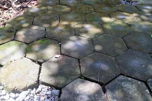 outdoor concrete paving floor with a hexagon shape, filled with moss, with a little gravel beside it photo