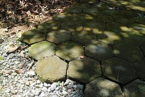 outdoor concrete paving floor with a hexagon shape, filled with moss, with a little gravel beside it photo