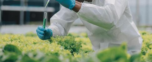 Man and woman use a test tube and a pipette while working in a greenhouse. photo