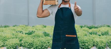 Two Asian farmers inspecting the quality of organic vegetables grown using hydroponics. photo