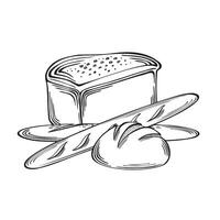 Baguettes french Loaf and round bread. Bakery goods from wheat and rye. flat illustration linear, isolated. Sketch fresh food products. Template for wrapping, cookbook, menu, showcase, website. vector