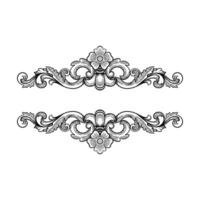 antique baroque frame, with floral border ornament vector