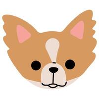 Papillon head cute on a white background, illustration. vector