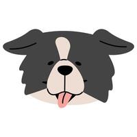 Border Collie head cute on a white background, illustration. vector