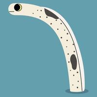 Spotted garden eel single on a blue background, illustration. vector