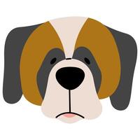 Saint Bernard head cute on a white background, illustration. vector