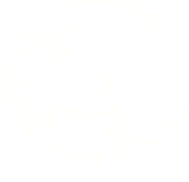 Flower Girl Chalk Drawing png