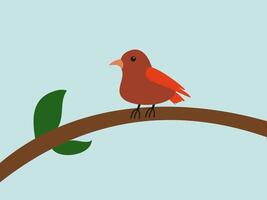 cute bird illustration flat design vector