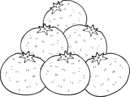 hand drawn black and white cartoon oranges png