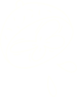 dessin à la craie de citron png