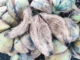 coconut husk or coconut fiber photo