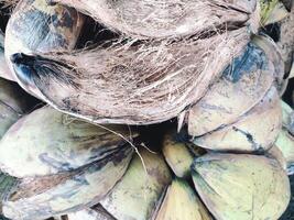 coconut husk or coconut fiber photo