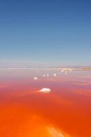 vibrante rosado lago con sal formaciones, alviso parque, California foto