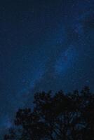 sereno noche cielo con lechoso camino y silueta de árboles, ideal para estudio de las estrellas en rural ajuste. foto