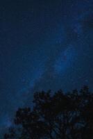 Serene night sky with Milky Way and silhouette of trees, ideal for stargazing in rural setting. photo