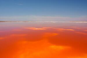 Vibrant Pink Lake Reflecting Blue Sky, Alviso Pink Lake Park, California photo