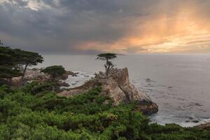 Serene Coastal Scene Along 17 Mile Drive, California photo