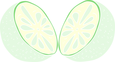 flat color illustration of half melon png