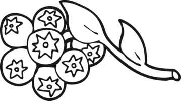 hand drawn black and white cartoon blueberries png