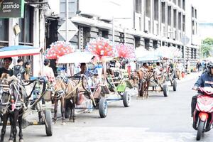 Delman waiting for tourist, stops at old city street. Delman is a traditional horse transportation. Jakarta, Indonesia, May 1, 2024 photo