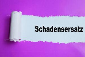 Concept of Learning language - German. Schadensersatz it means damages written on torn paper. photo