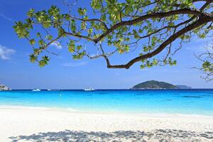 Clear water and white sandy beach at Koh Miang Island 4 of Similan Islands in Similan National Park. Phang Nga, Thailand photo