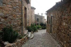 Narrow street in a big city. photo