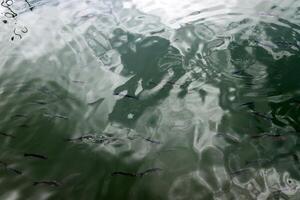 The color of water in the Mediterranean Sea in shallow water. Natural abstract background. photo