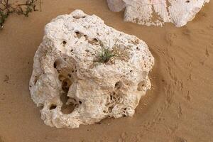 Stones in a city park on the shores of the Mediterranean Sea. photo