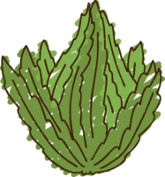 Kale Chalk Drawing png