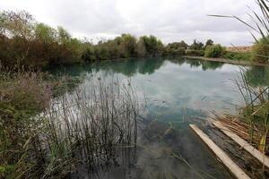 Ein Afek Nature Reserve in northern Israel. Wetland with an abundance of animals and accessible trails photo