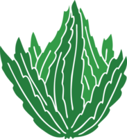 hand drawn quirky cartoon lettuce png