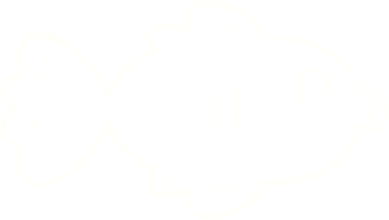 Fisch Kreidezeichnung png