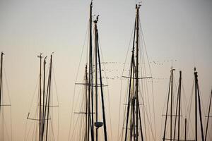 Masts in the port against the blue sky. photo