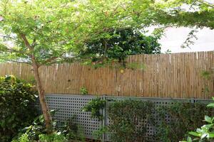 Green plants and flowers grow along a fence in a city park. photo