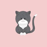 Cute Grey and White Cat Kitten vector