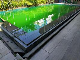 sucio nadando piscina con verde agua. el agua en el piscina es podrido. foto