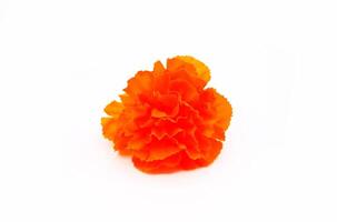 Orange paper flower isolated on white background. Handmade or handcrafted and designed. Beautiful object. photo