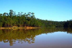 Nature of Landscape, Green pine forest area with tranquil lake reflection and clear blue sky. photo