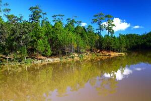 naturaleza de paisaje, verde pino bosque zona con tranquilo lago reflexión y claro azul cielo. foto