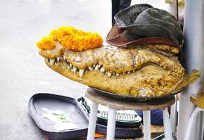 Crocodile head and hat with marigold garland putting on the chair with people walking on the street background. Someone killed crocodile and bringing its head for worship or adore. photo