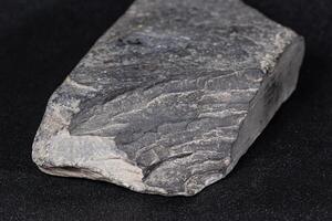 the left side of gray flat brick shaped rock found many years ago photo